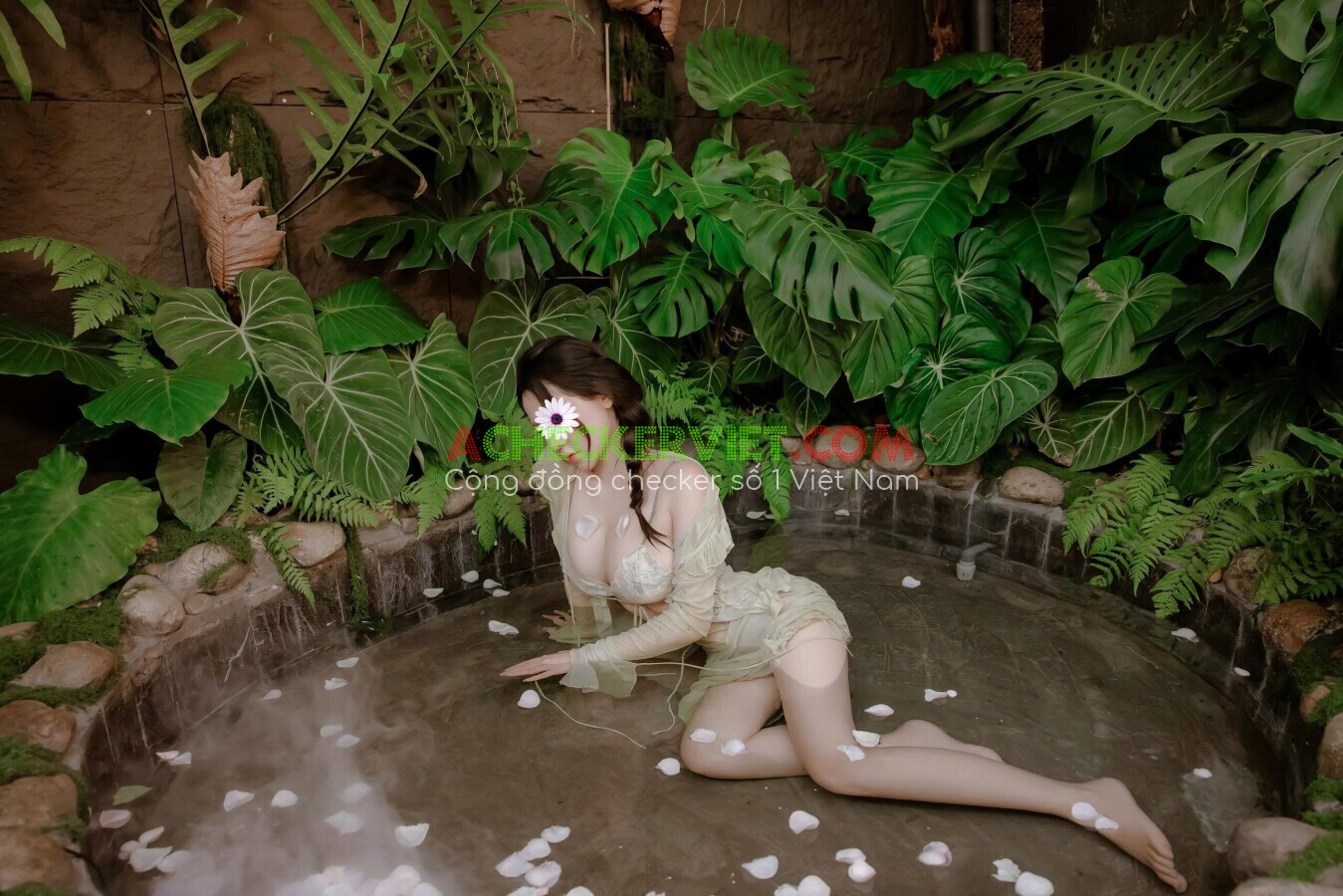 7a6119110b44981ad0.jpg